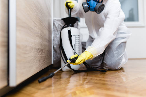 Best Affordable Pest Control Services  in Camden, NJ
