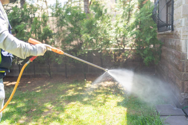 Best Pest Removal Services  in Camden, NJ