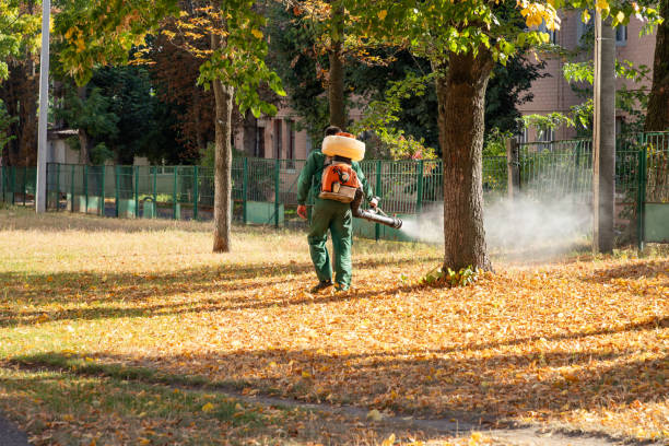 Best Affordable Pest Control Services  in Camden, NJ